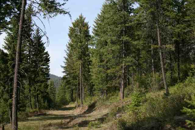 0 Major Road Chewelah, WA 99109 - Photo 6 of 7 Gallery Image 6