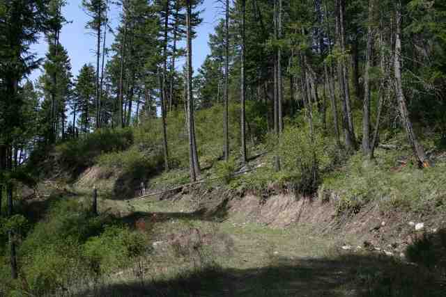 0 Major Road Chewelah, WA 99109 - Photo 7 of 7 Gallery Image 7