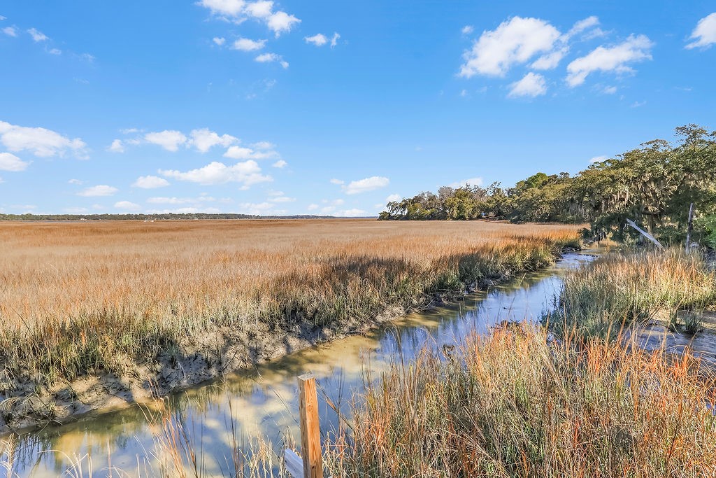 1090 Goldfinch Loop Northeast Townsend, GA 31331 - Photo 11 of 68