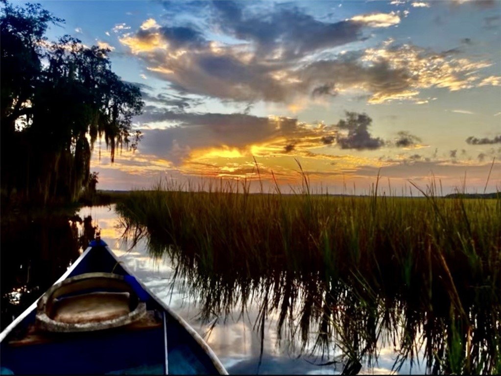 1090 Goldfinch Loop Northeast Townsend, GA 31331 - Photo 61 of 68