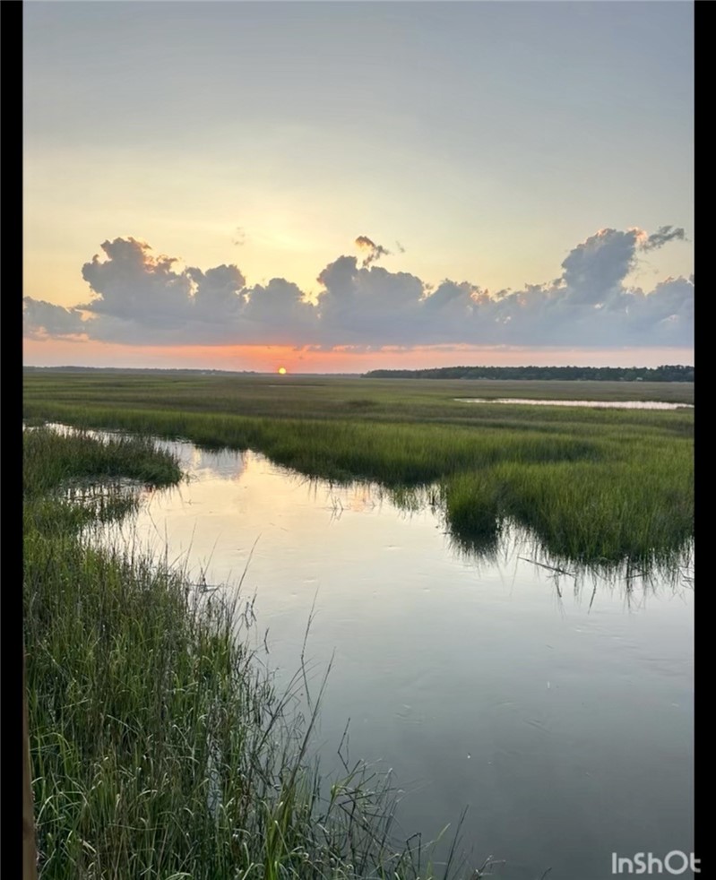 1090 Goldfinch Loop Northeast Townsend, GA 31331 - Photo 62 of 68