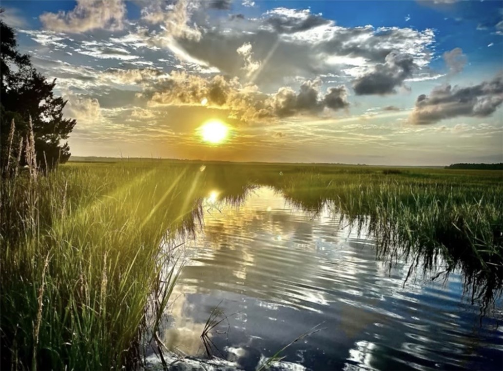 1090 Goldfinch Loop Northeast Townsend, GA 31331 - Photo 63 of 68