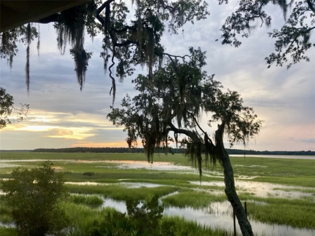 1090 Goldfinch Loop Northeast Townsend, GA 31331 - Photo 66 of 68