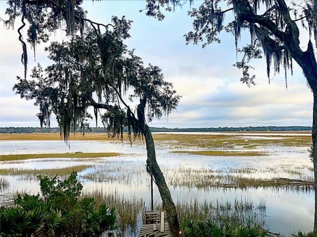 1090 Goldfinch Loop Northeast Townsend, GA 31331 - Photo 68 of 68