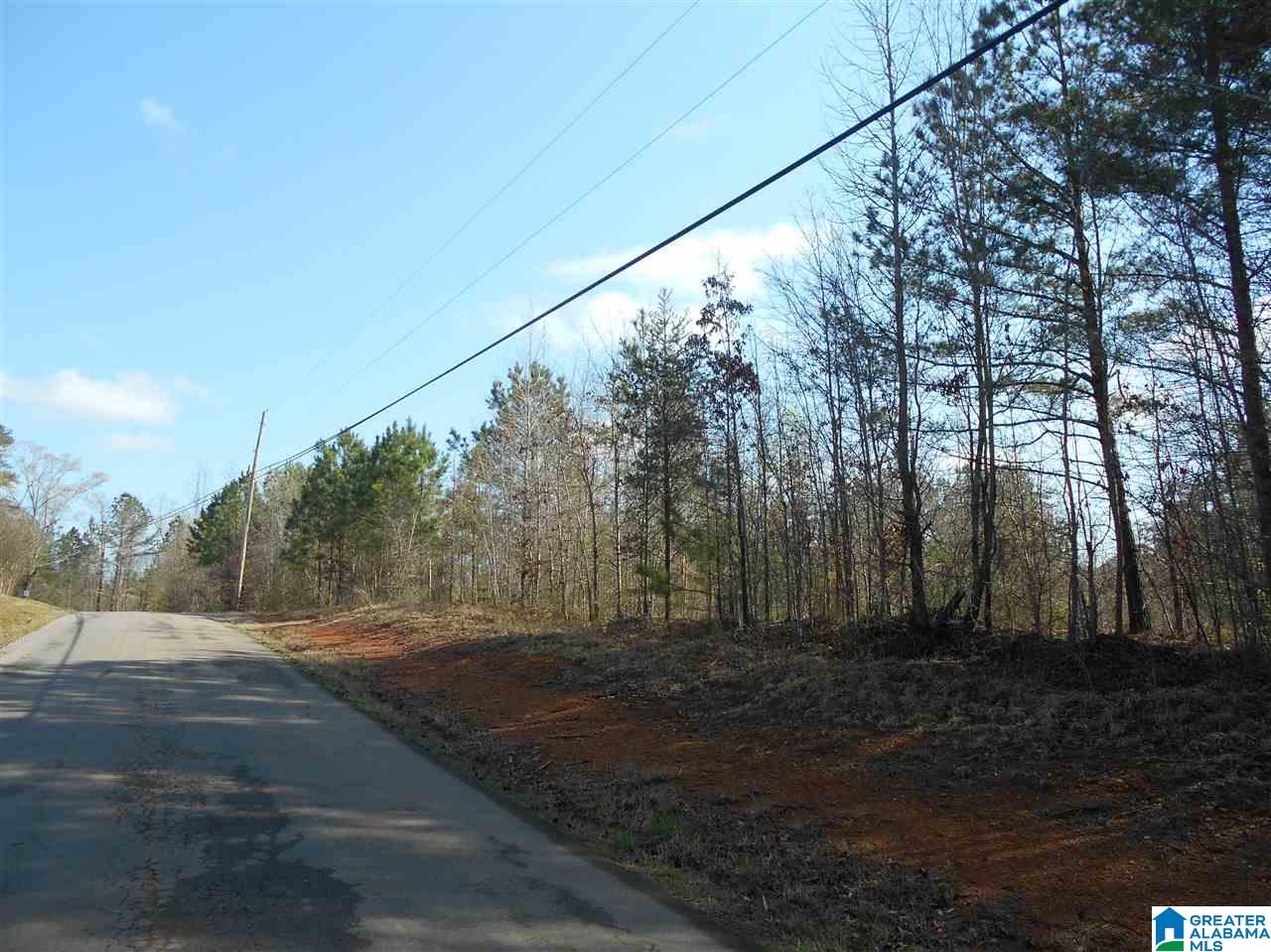K D Byrd Station Road, Unit 30 Quinton, AL 35130 - Photo 3 of 5