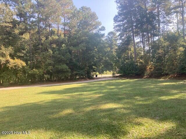 6342 Colonial Road Macclesfield, NC 27852 - Photo 3 of 22 2