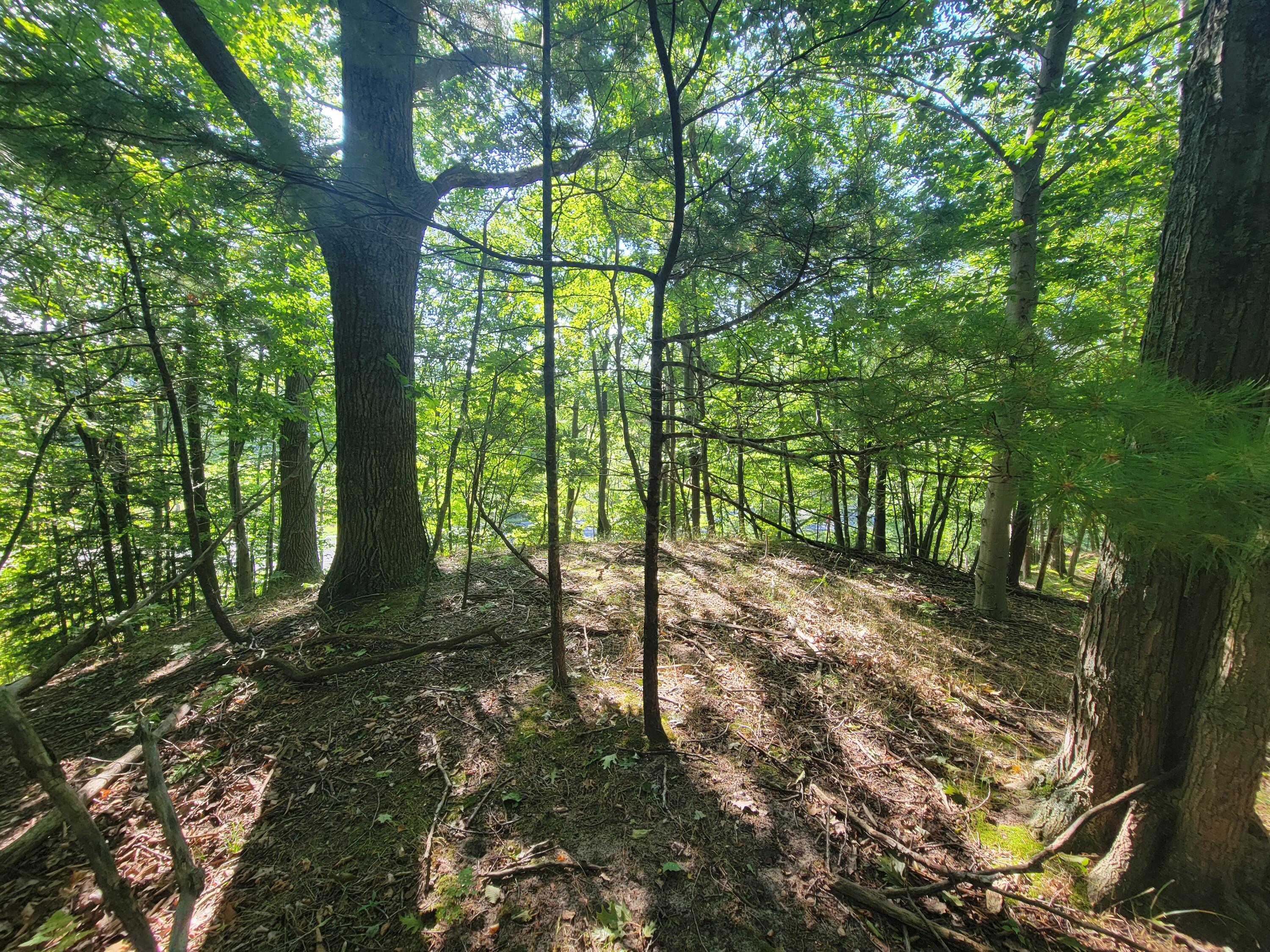 Lot 8 Lakeshore Road Manistee, MI 49660 - Photo 18 of 20 20250912_102052