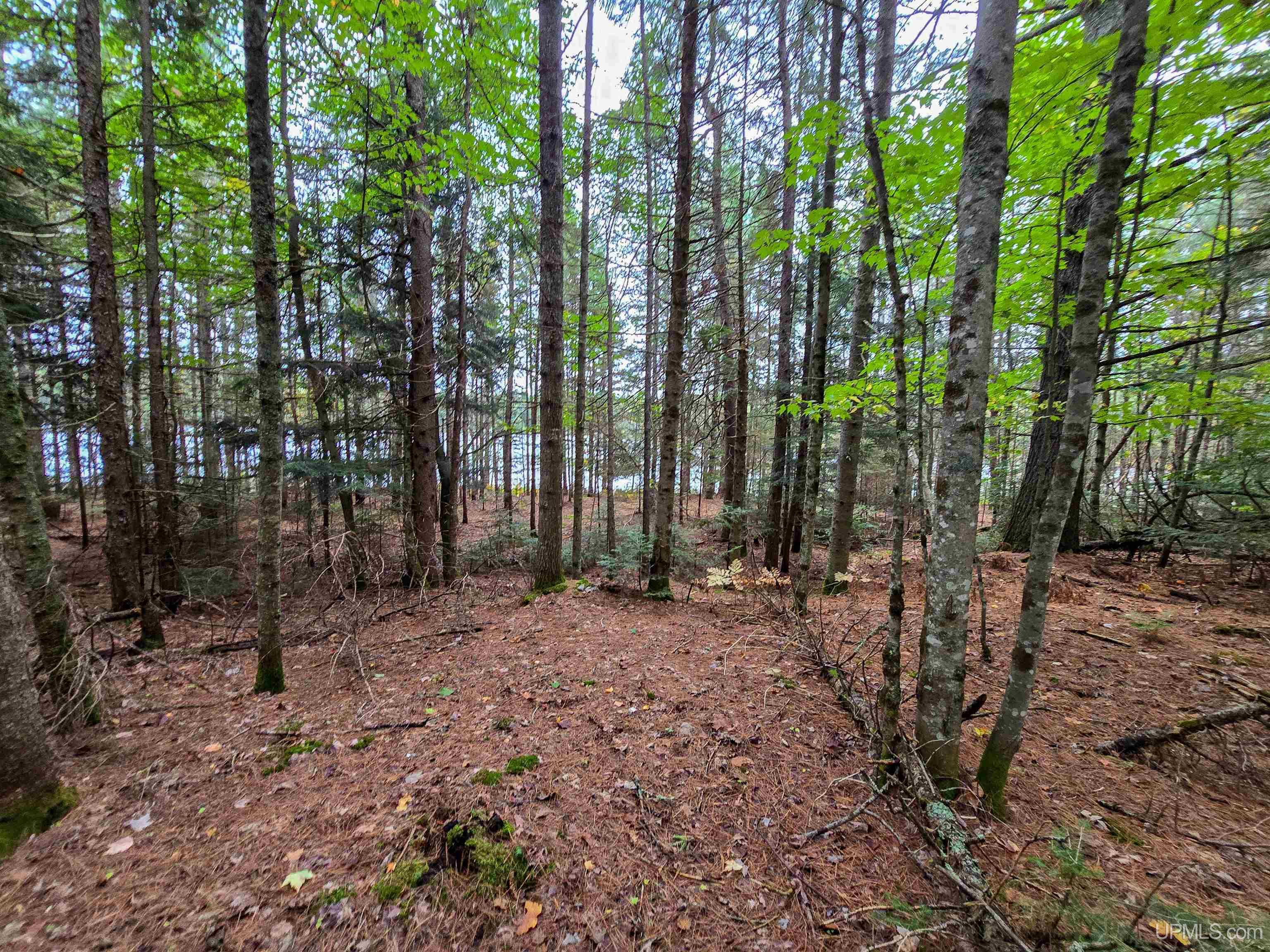 Tbd Leatherleaf Lane Munising, MI 49862 - Photo 6 of 24