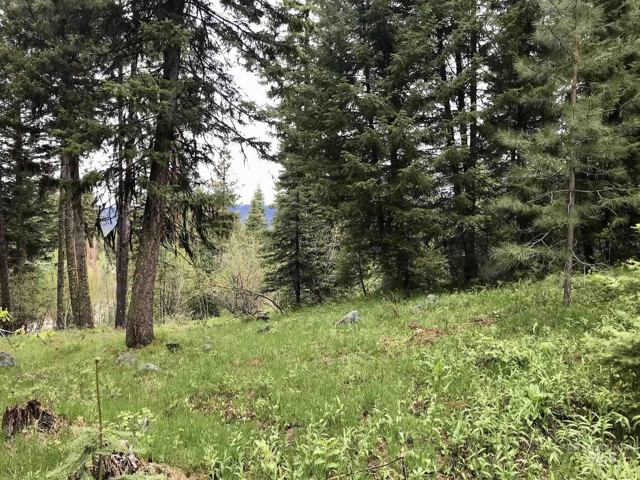 1160 Aspen Ridge Lane McCall, ID 83638 - Photo 1 of 1