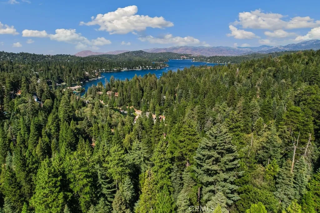 a view of a city with lush green forest