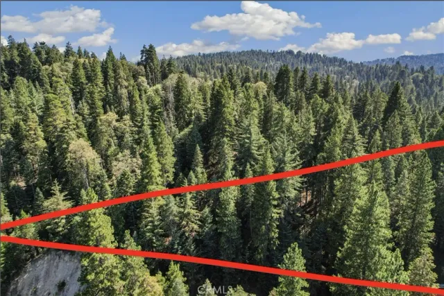 a view of a and flower garden