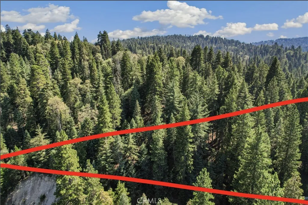 1 Ca-189 Twin Peaks, CA 92391 - Photo 3 of 13 a view of a and flower garden