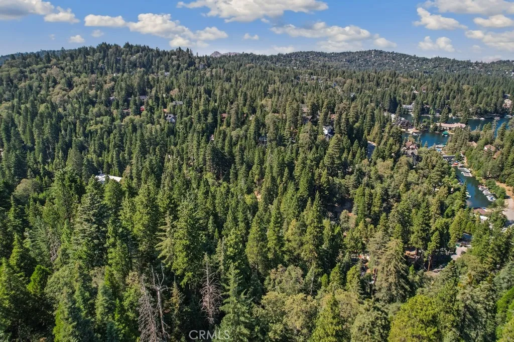 1 Ca-189 Twin Peaks, CA 92391 - Photo 4 of 13 a view of a city with lush green forest