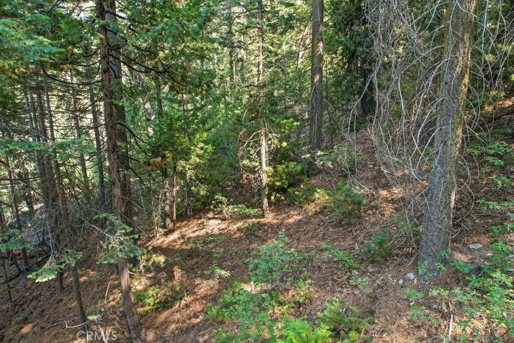 1 Ca-189 Twin Peaks, CA 92391 - Photo 6 of 13 a view of a forest with trees in the background