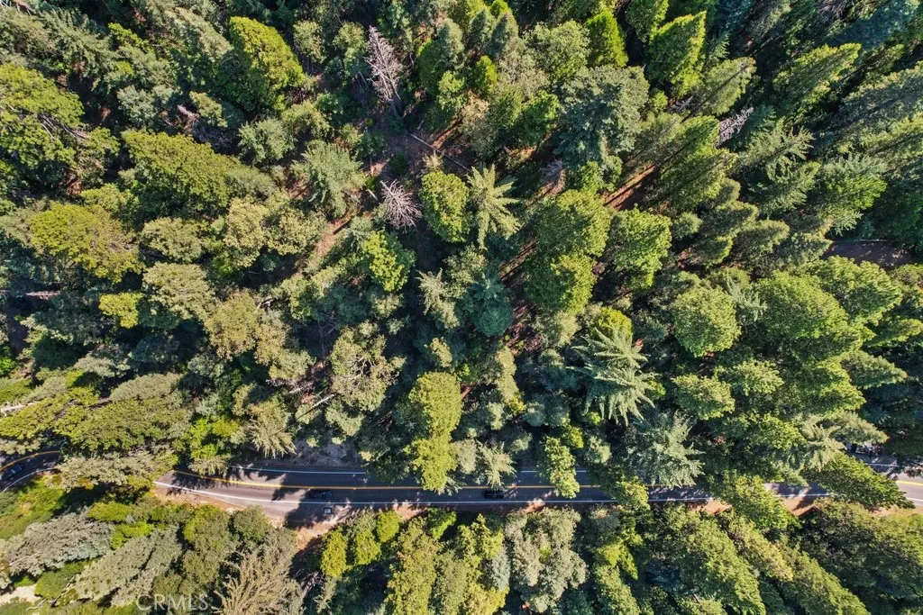 1 Ca-189 Twin Peaks, CA 92391 - Photo 8 of 13 a view of a tree