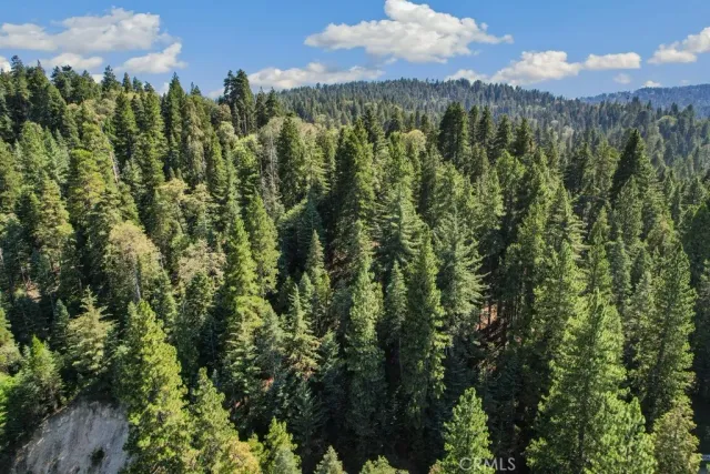 a view of a city with lush green forest