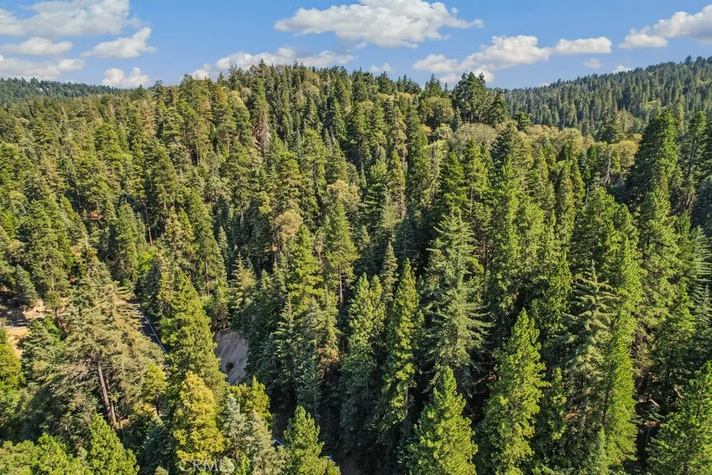 1 Ca-189 Twin Peaks, CA 92391 - Photo 10 of 13 a view of a bunch of plants and trees