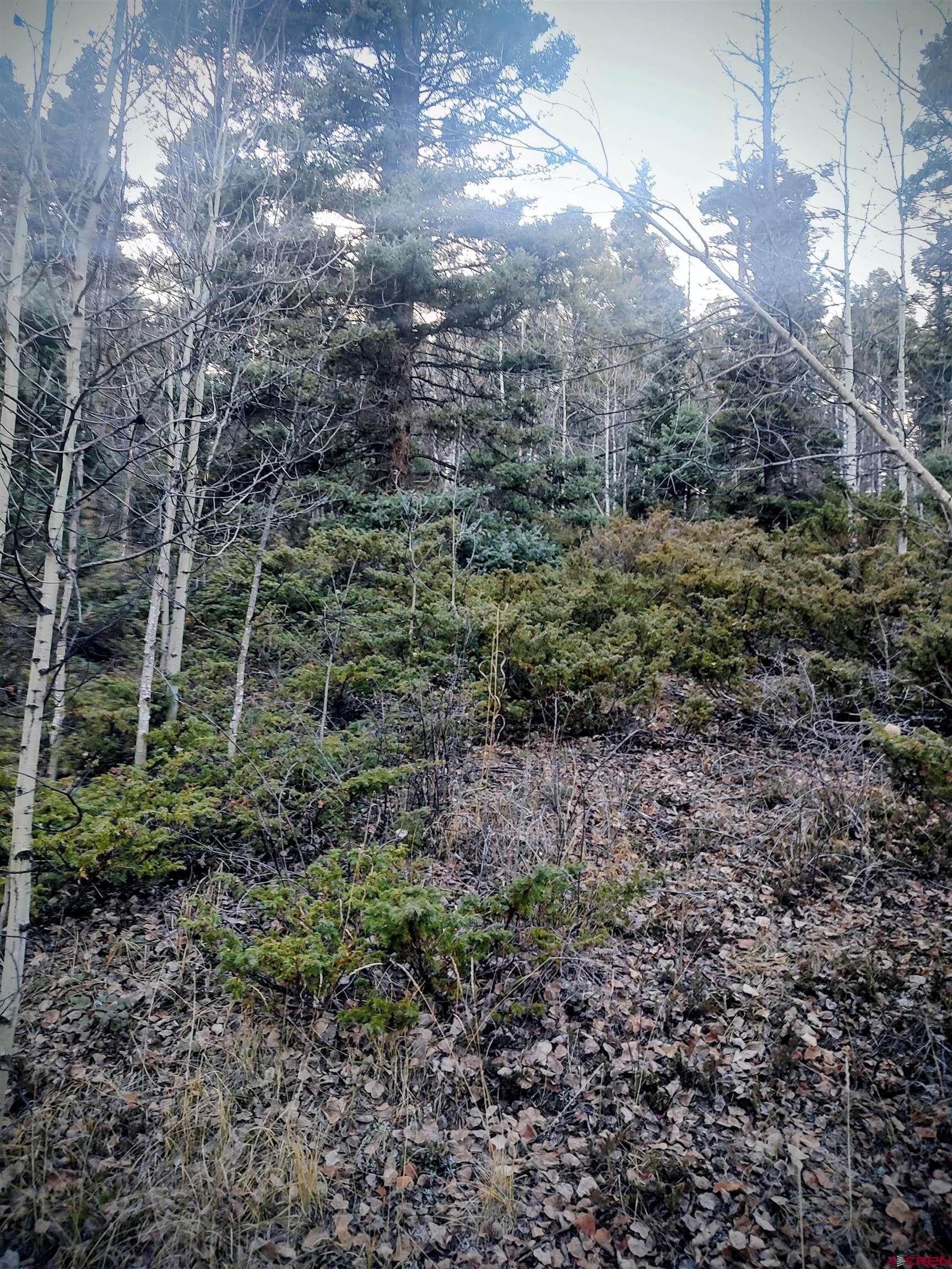 Lot 6364 Jacquez Road San Luis, CO 81152 - Photo 2 of 10 a view of a large yard with lots of green space