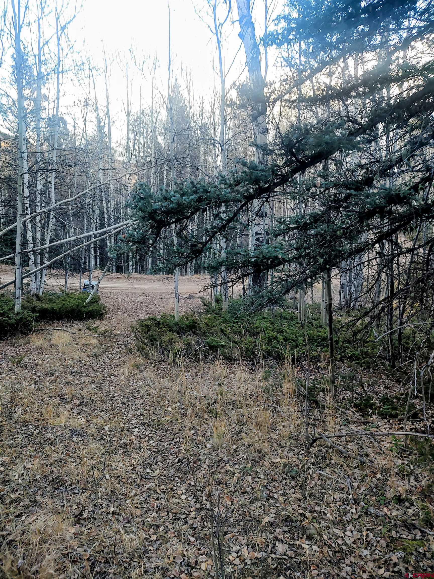 Lot 6364 Jacquez Road San Luis, CO 81152 - Photo 6 of 10 a backyard of a house with lots of green space