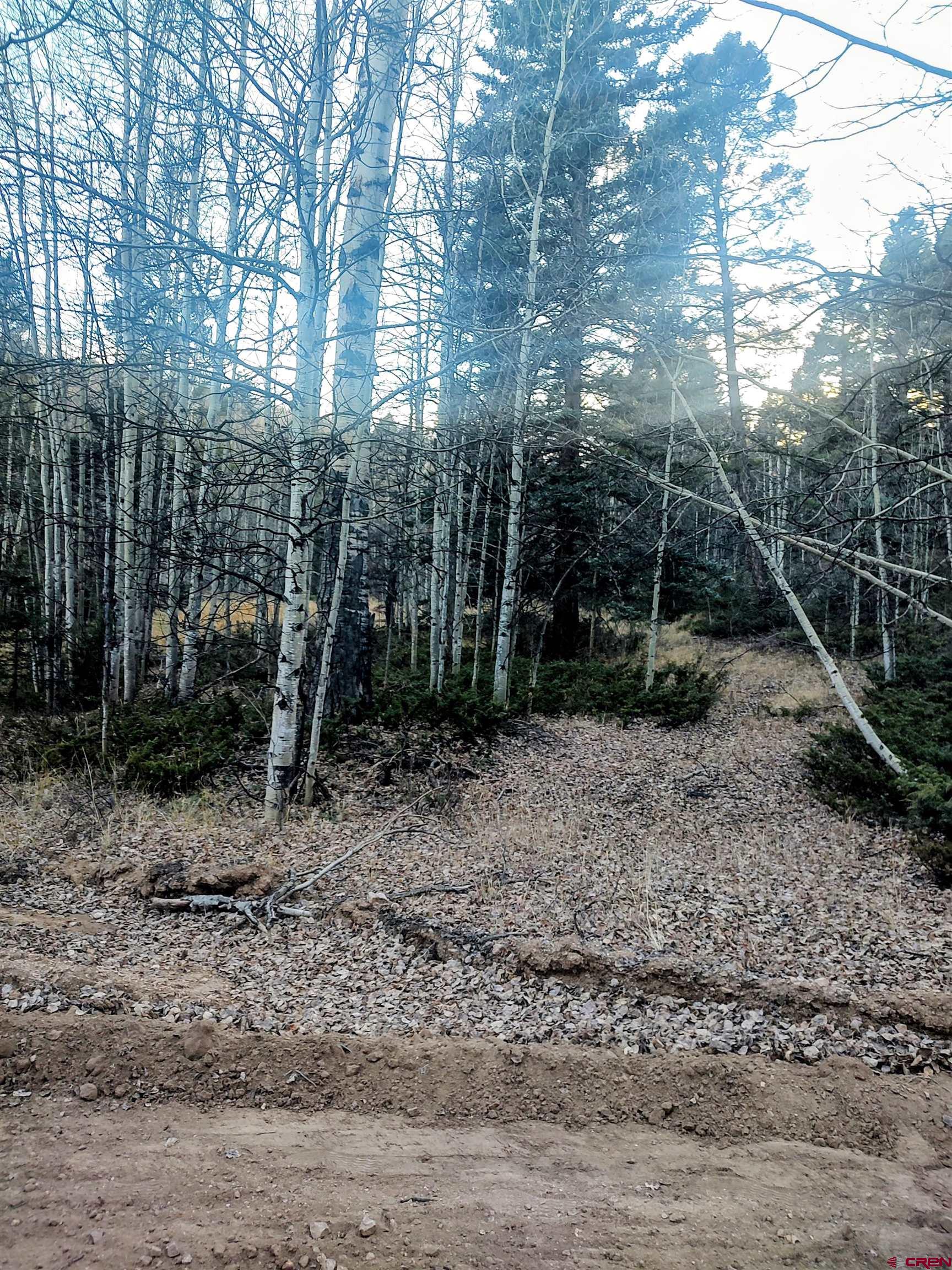 Lot 6364 Jacquez Road San Luis, CO 81152 - Photo 7 of 10 a backyard of a house with lots of green space