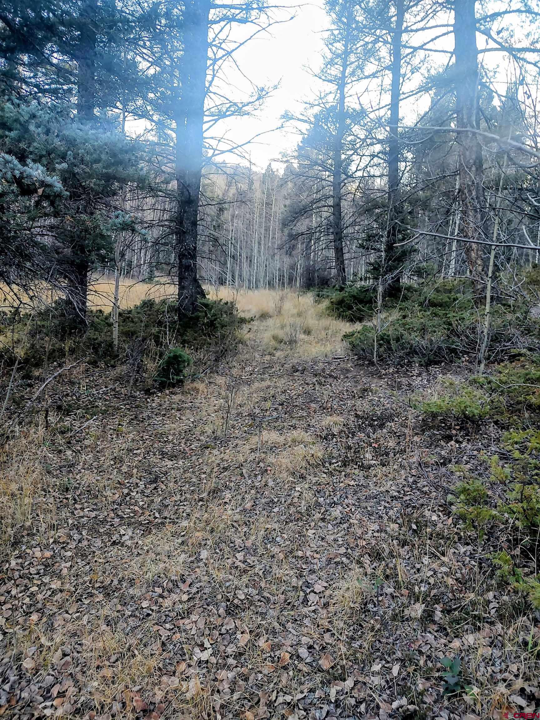 Lot 6364 Jacquez Road San Luis, CO 81152 - Photo 8 of 10 a view of a yard with plants and trees