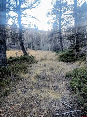a view of a backyard of the house