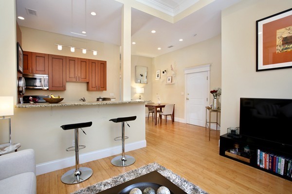 19 Worcester Square, Unit 2 Boston, MA 02118 - Photo 2 of 9 Gallery Image 2