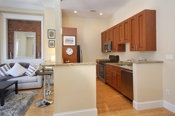 19 Worcester Square, Unit 2 Boston, MA 02118 - Photo 3 of 9 Gallery Image 3