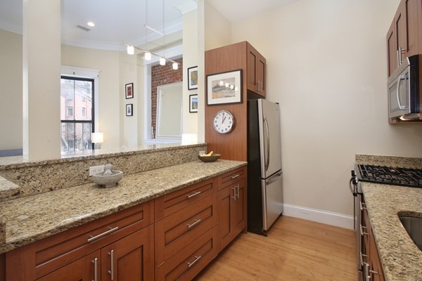 19 Worcester Square, Unit 2 Boston, MA 02118 - Photo 4 of 9 Gallery Image 4