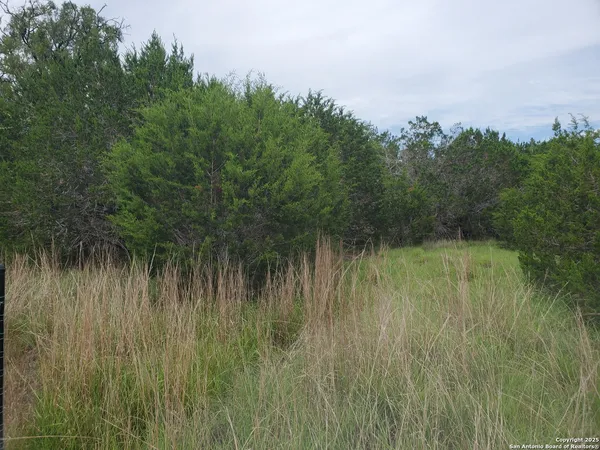 $78,500 | 1230 Fir Lane, Fischer, TX 78623