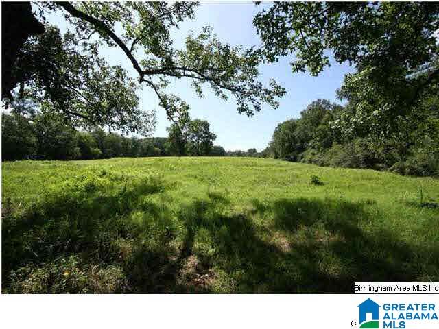 Reneau Road, Unit 27 Oneonta, AL 35121 - Photo 1 of 3