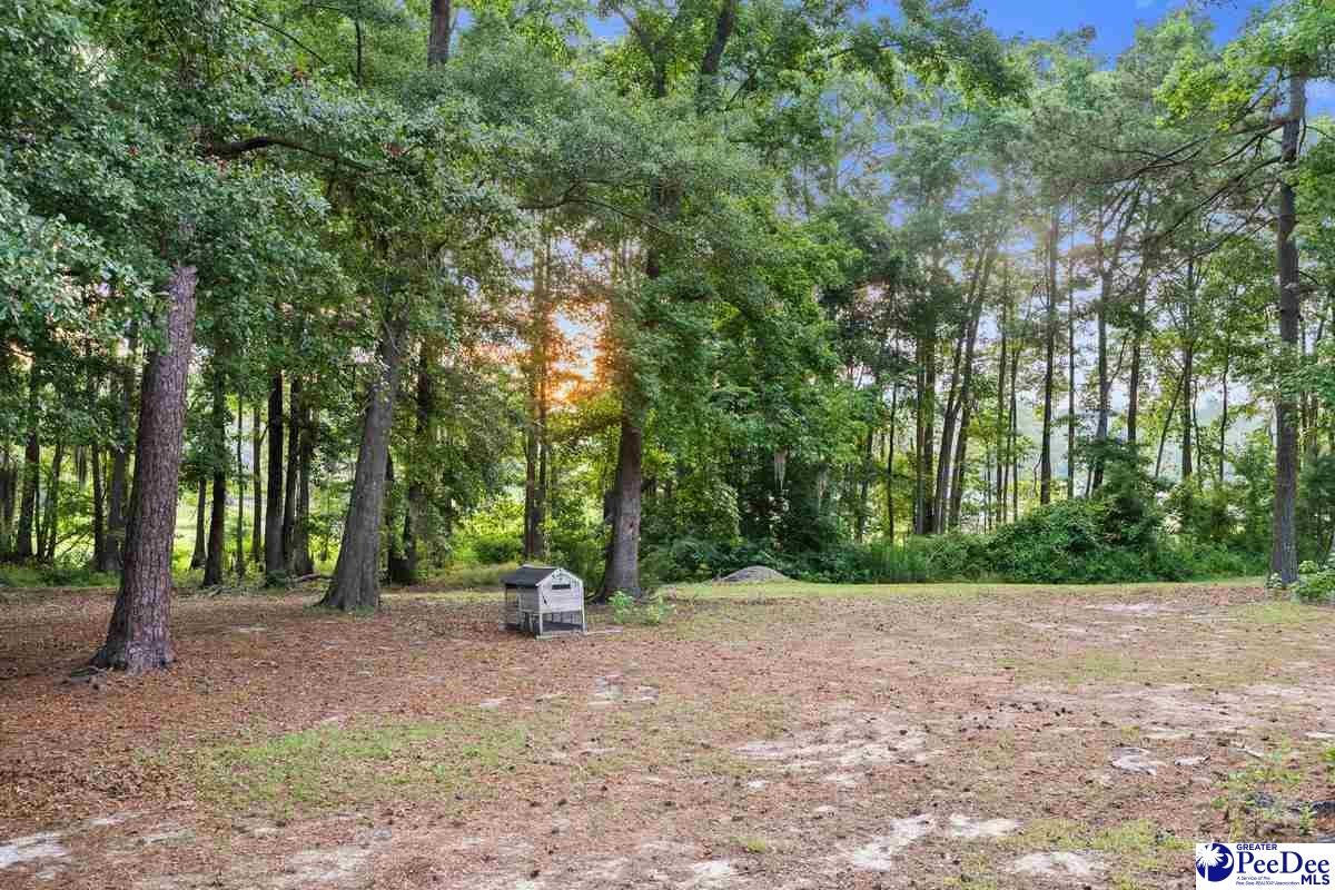 214 East Legette Road Marion, SC 29571 - Photo 22 of 36 Gallery Image 22