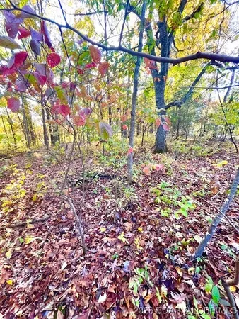 $17,005 | Lot# 4-5 Lakewood Lane, Barnett, MO 65011