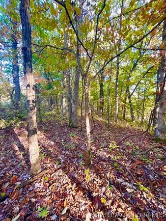 $17,005 | Lot# 4-5 Lakewood Lane, Barnett, MO 65011