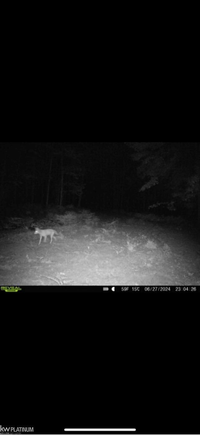0 Castor Road Midland, MI 48640 - Photo 24 of 26