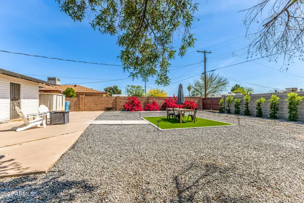 a view of a backyard with potted plants