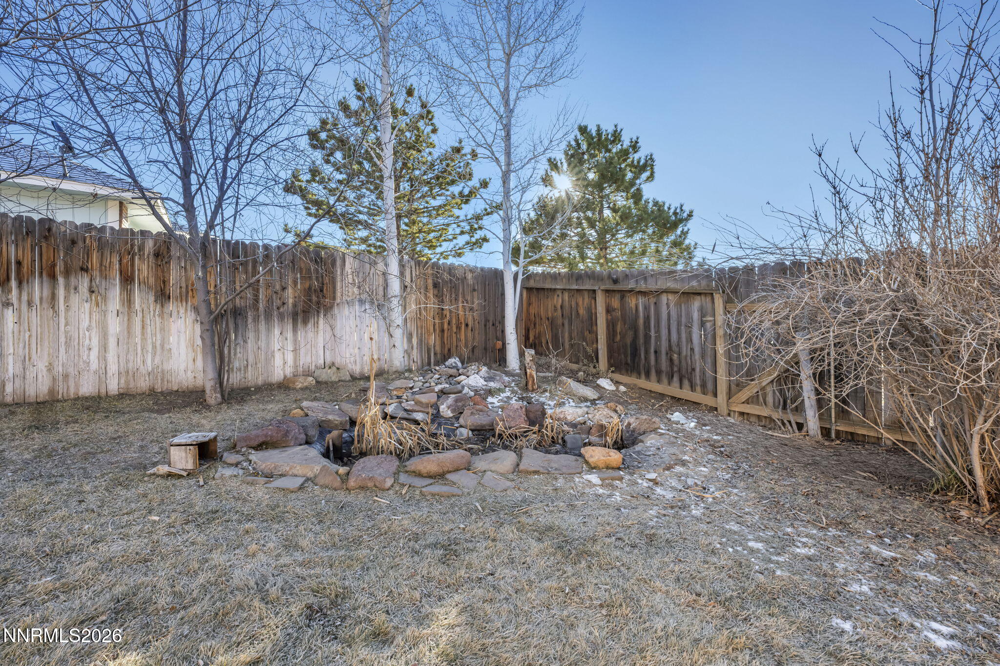 1317 Bridle Way Minden, NV 89423 - Photo 53 of 57 a backyard of a house with lots of green space
