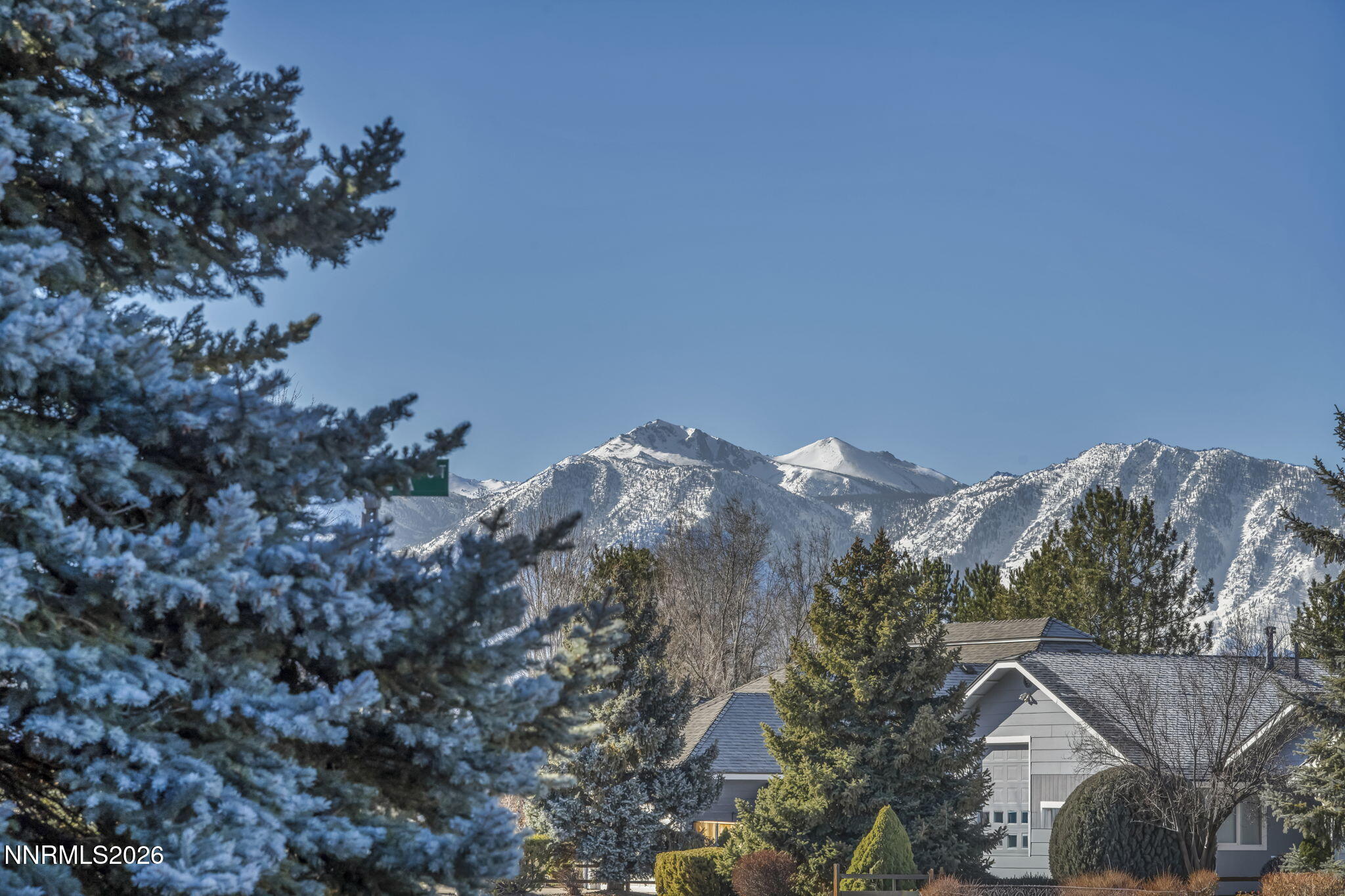 1317 Bridle Way Minden, NV 89423 - Photo 8 of 57 a view of a house with a mountain and a forest