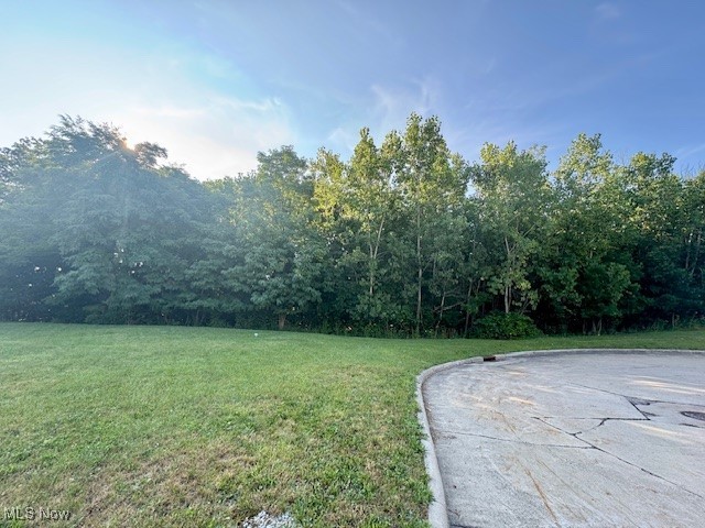 View of green lawn with a forest view