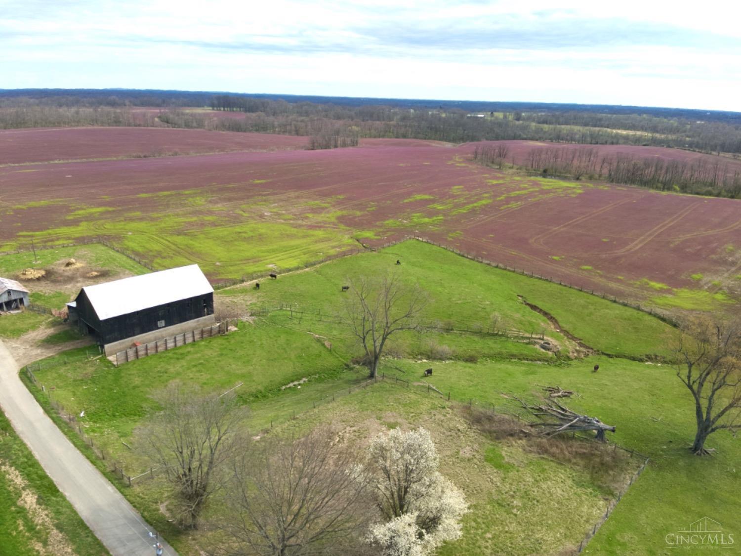 7402 Gardner Road Ripley, OH 45167 - Photo 3 of 33