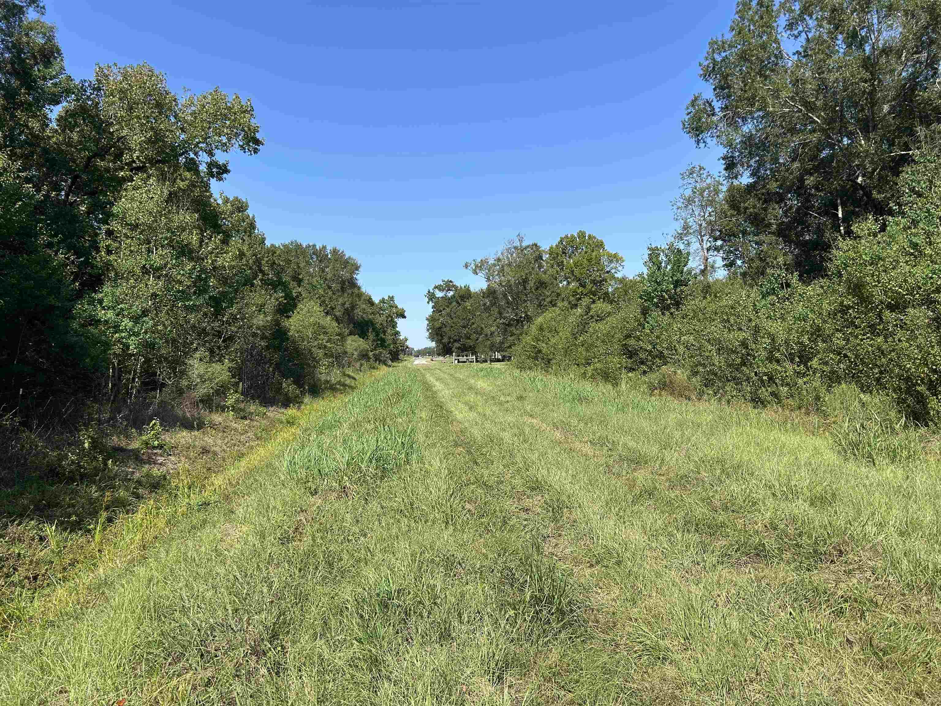 0 McGuire Road Liberty, TX 77575 - Photo 17 of 40