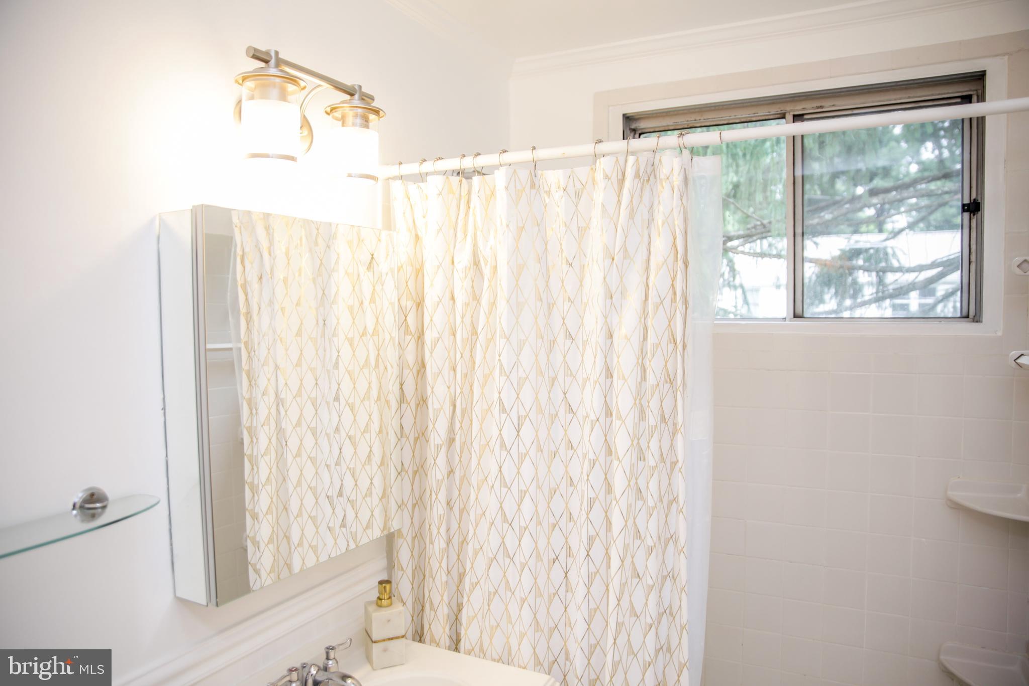 51 Ridge Road, Unit C Greenbelt, MD 20770 - Photo 13 of 27 New bathroom light fixture, bright white paint