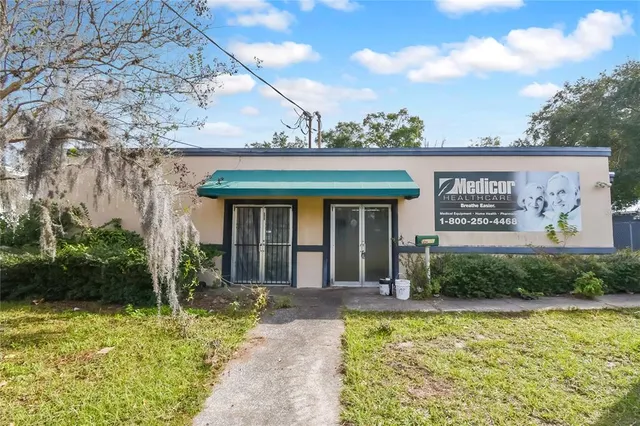 a view of a yard with large tree