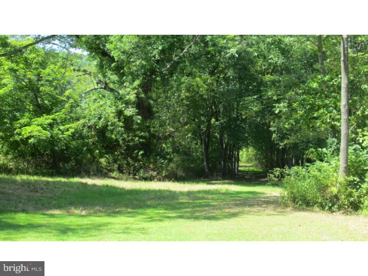 2350 Three Mile Run Road Perkasie, PA 18944 - Photo 16 of 25