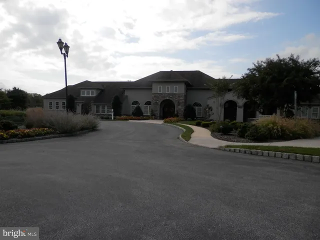 a view of a yard with large trees