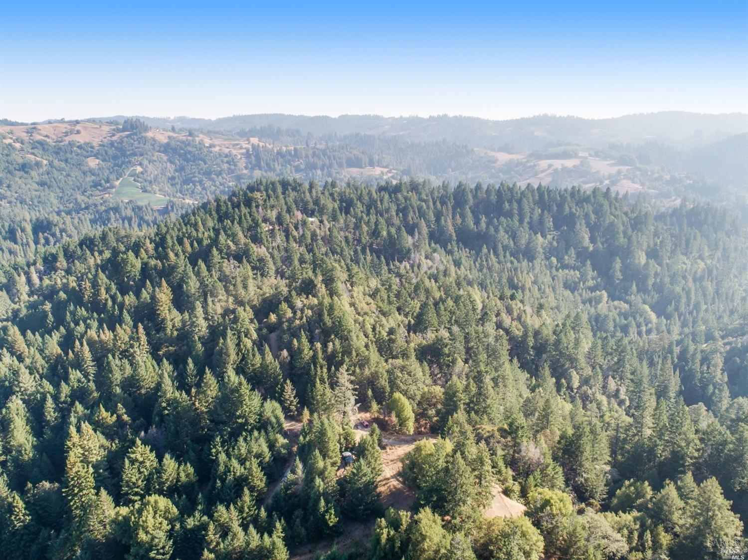 27951 King Ridge Road Cazadero, CA 95421 - Photo 1 of 1 a view of a city with lush green forest