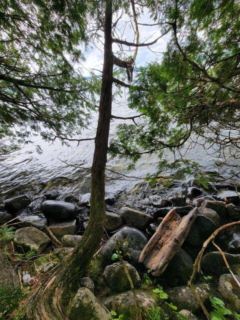 1 Railroad Bed Rd Lake View Milo, ME 04463 - Photo 4 of 27 water