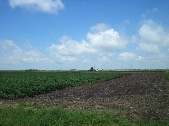 Lot A Scott Road Sugar Grove, IL 60554 - Photo 2 of 6 a view of a big yard
