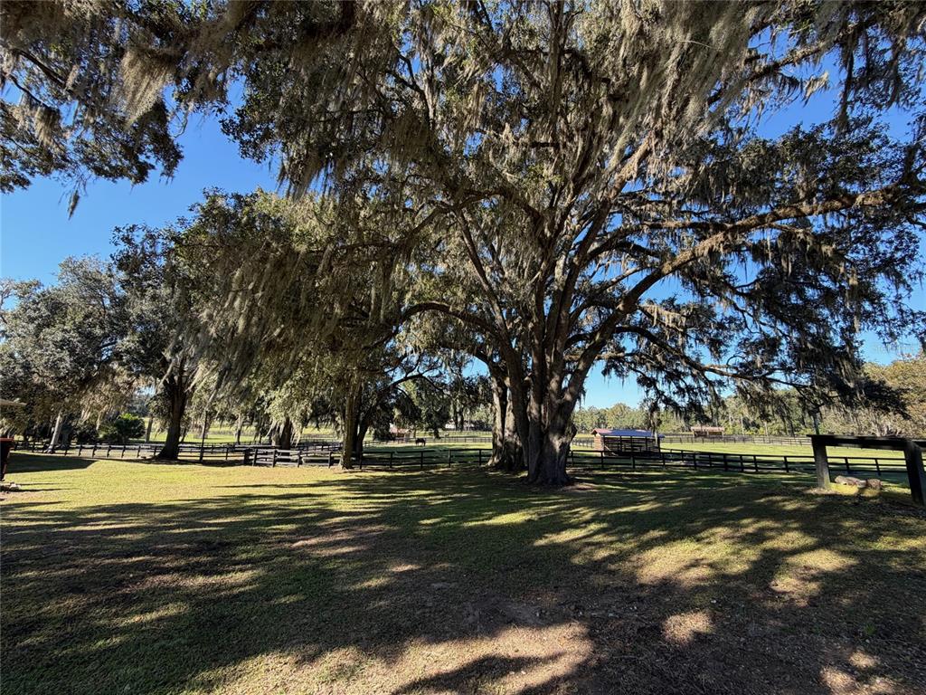 8820 Northwest 130th Street Reddick, FL 32686 - Photo 65 of 67