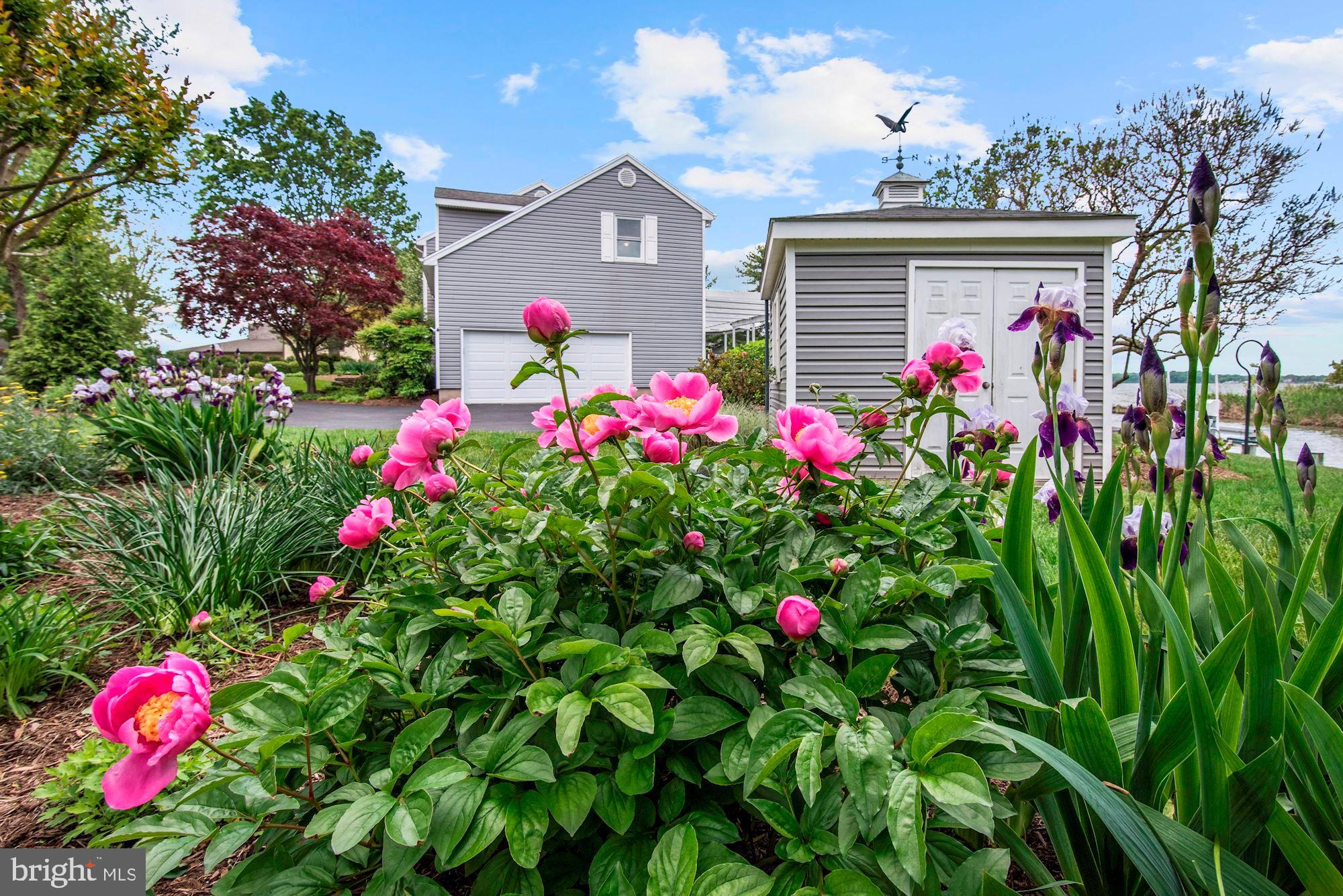 3720 Ramsgate Drive Annapolis, MD 21403 - Photo 55 of 76 Side Garden and Secure Storage Shed